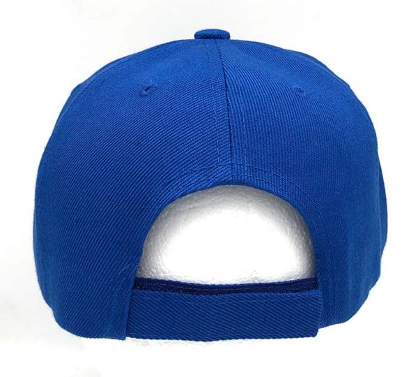Build The Wall Trump Hat Cap - Blue - Image 3